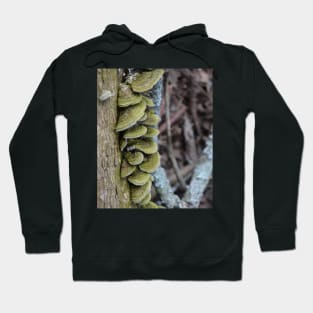 mushrooms Hoodie